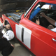 Illustration for article titled The 24 Hours Of LeMons Texas Gator-O-Rama Über Gallery: The Europeans